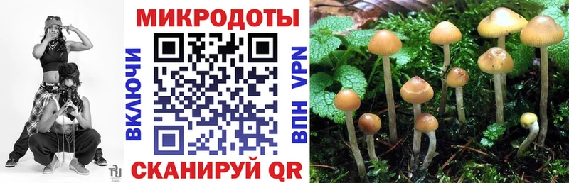 Псилоцибиновые грибы прущие грибы  Купить где  Адыгейск 